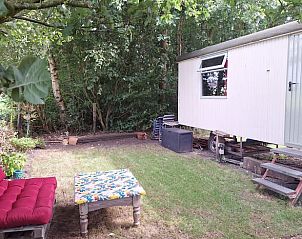 Buitenruimte met groene omgeving bij Vakantiehuisje in Orvelte, Midden Drenthe, ideaal voor ontspanning.