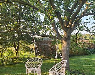Schommelstoelen onder boom in de tuin van Vakantiehuisje in Orvelte, Drenthe voor ultieme ontspanning.