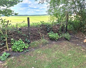 Groene omgeving rondom Vakantiehuisje in Orvelte, Drenthe met uitzicht op uitgestrekte velden.