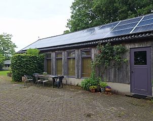 Terras met zitgelegenheid bij Vakantiehuisje in Orvelte, Drenthe omringd door natuur.