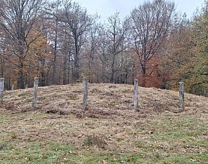 Prehistorische grafheuvel nabij Vakantiehuisje in Orvelte, Midden Drenthe, omgeven door bos.
