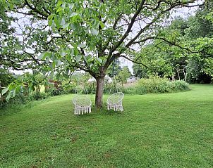 Schommelstoelen onder een boom in de tuin van Vakantiehuisje in Orvelte, Drenthe voor ontspanning.