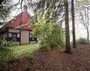 Huisje in Rolde, idyllisch vakantiehuis omringd door weelderige bossen in Midden Drenthe, Drenthe.