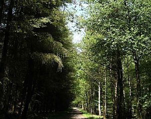 Guest house 171802 - Holiday property Midden Drenthe - DG1385