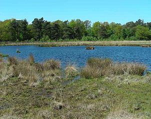 Guest house 171802 - Holiday property Midden Drenthe - DG1385