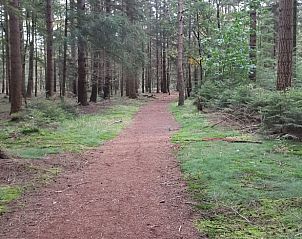 Guest house 171906 - Holiday property Midden Drenthe - Vakantiehuis in Gasselte