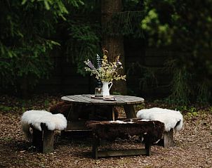 Rustic picnic table in the garden of Cottage in Gasselte, vacation home in Drenthe.