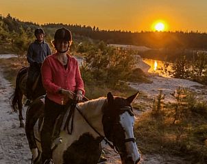 Horseback riding at sunset near Cottage in Gasselte, vacation accommodation in Drenthe.