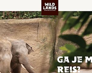 Elephants at Wildlands Adventure Zoo, nearby Cottage in Gasselte, vacation home in Drenthe.