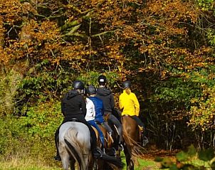 Group of people on horseback in the woods, near Cottage in Gasselte, vacation accommodation in Drenthe.