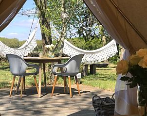 Guest house 171914 - Holiday property Midden Drenthe - Huisje in Gasselte