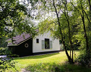 Guest house 171915 - Holiday property Midden Drenthe - Vakantiehuisje in Gasselte