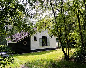 Guest house 171915 • Holiday property Midden Drenthe • Huisje in Gasselte 