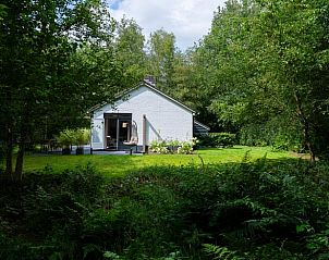 Vakantiehuisje in Gasselte met ruime tuin, omgeven door bosrijke omgeving in Drenthe.
