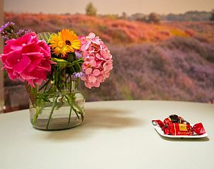 Verblijf 171915 - Vakantiewoning Midden Drenthe - Vakantiehuisje in Gasselte