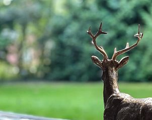 Verblijf 171915 - Vakantiewoning Midden Drenthe - Vakantiehuisje in Gasselte