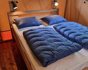 Guest house 171919 - Tent house Midden Drenthe - Luxe Safaritent + sanitair - Baars