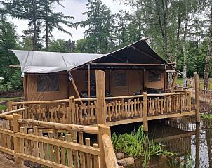 Guest house 171925 - Tent house Midden Drenthe - Luxe Safaritent + sanitair - Karper