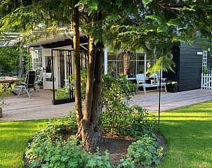 Zonnig terras in de tuin van Vakantiehuisje in Gasselte, Drenthe omgeven door groen.