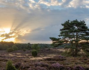 Adembenemend uitzicht op natuur rondom Vakantiehuisje in Gasselte, Drenthe.