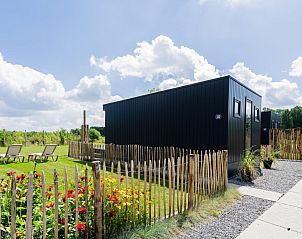 Guest house 171933 - Holiday property Midden Drenthe - Tiny House met vlonder