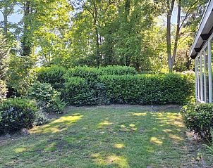 Guest house 171935 - Holiday property Midden Drenthe - Vakantiehuis in Gasselte