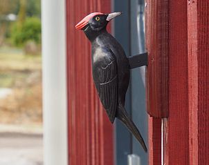 Verblijf 171936 - Vakantiewoning Midden Drenthe - Vakantiehuis in Gasselte