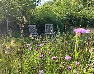 Verblijf 171936 - Vakantiewoning Midden Drenthe - Vakantiehuis in Gasselte