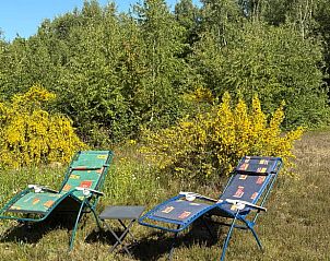 Verblijf 171936 - Vakantiewoning Midden Drenthe - Vakantiehuis in Gasselte