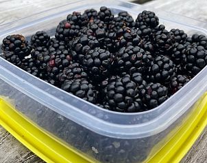 Verblijf 171936 - Vakantiewoning Midden Drenthe - Vakantiehuis in Gasselte