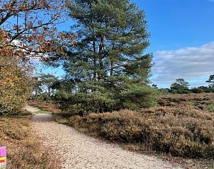 Verblijf 171936 - Vakantiewoning Midden Drenthe - Vakantiehuis in Gasselte