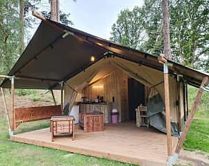 Guest house 171938 - Tent house Midden Drenthe - Safaritent + sanitair
