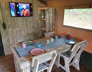 Guest house 171938 - Tent house Midden Drenthe - Safaritent + sanitair