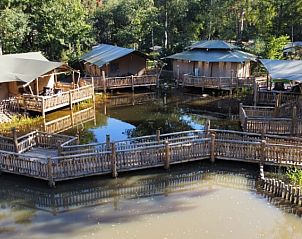 Guest house 171939 - Tent house Midden Drenthe - Luxe Safaritent + sanitair