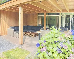 Cozy porch of Huisje in Gasselte, vacation home in Midden Drenthe, with comfortable seating area and view of colorful hydrangeas.