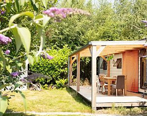 Guest house 171949 - Holiday property Midden Drenthe - De Kiekendief