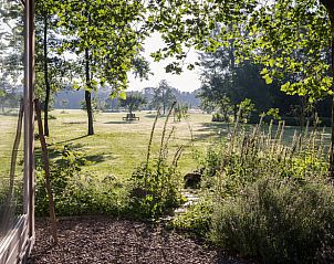 Guest house 172004 - Holiday property Midden Drenthe - Vakantiehuis in Papenvoort