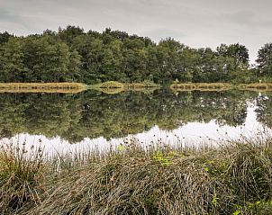 Guest house 172004 - Holiday property Midden Drenthe - Vakantiehuis in Papenvoort