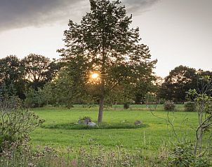 Guest house 172004 - Holiday property Midden Drenthe - Vakantiehuis in Papenvoort