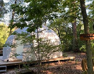 Guest house 172005 - Holiday property Midden Drenthe - Vakantiehuisje in Papenvoort