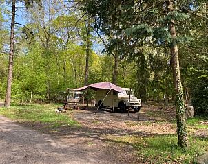 Guest house 172010 • Holiday property Midden Drenthe • Vakantiehuis in Papenvoort 