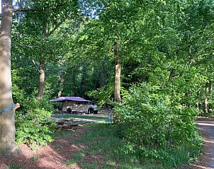 Guest house 172010 - Holiday property Midden Drenthe - Vakantiehuis in Papenvoort