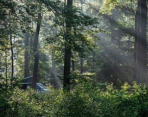 Enjoy the serene wooded surroundings at Holiday Home in Papenvoort, Central Drenthe, where nature and tranquility come together.