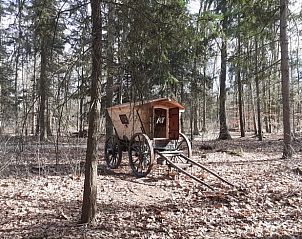 Guest house 172013 - Holiday property Midden Drenthe - Vakantiehuisje in Papenvoort