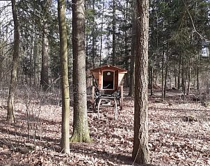 Guest house 172013 - Holiday property Midden Drenthe - Vakantiehuisje in Papenvoort