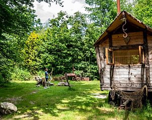 Guest house 172014 - Holiday property Midden Drenthe - Vakantiehuis in Papenvoort