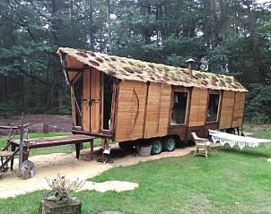 Guest house 172014 - Holiday property Midden Drenthe - Vakantiehuis in Papenvoort