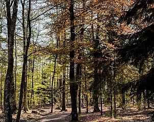 Guest house 172014 - Holiday property Midden Drenthe - Vakantiehuis in Papenvoort