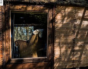 Guest house 172014 - Holiday property Midden Drenthe - Vakantiehuis in Papenvoort