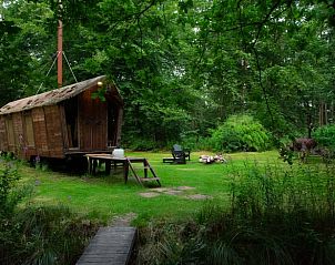 Guest house 172014 - Holiday property Midden Drenthe - Vakantiehuis in Papenvoort